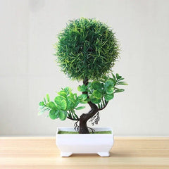 Collection image for: PLANT TERRARIUMS