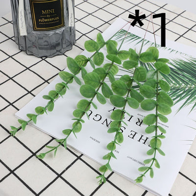 Golden Eucalyptus Decorative plant