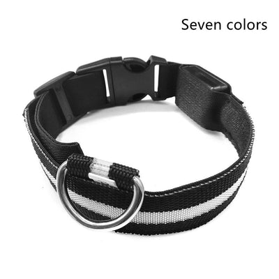 Nylon LED pet collar