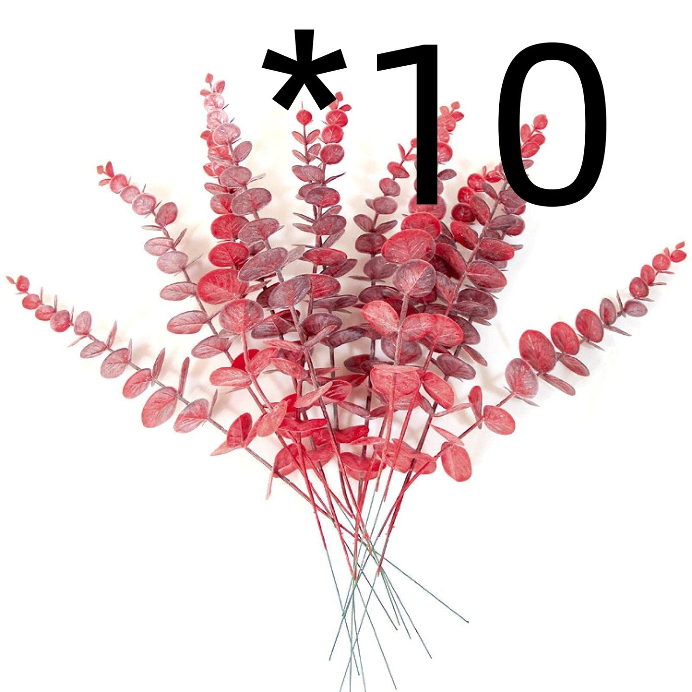 Golden Eucalyptus Decorative plant