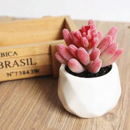 Artificial Succulent Bonsai Creative Ornaments for Home Table Garden Decoration Artificial Plants with Pot Fendax 0