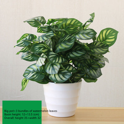 Fake Indoor And Outdoor Decoration