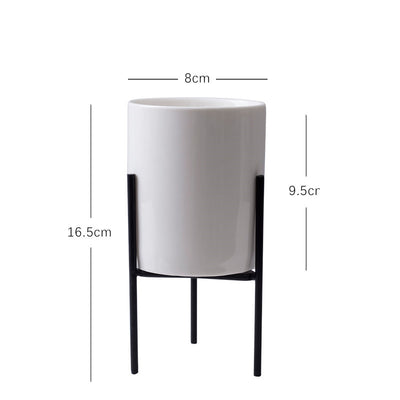 Plant Succulent Flowerpot