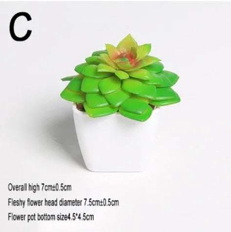 Simulated succulents mini potted plants Fendax 0