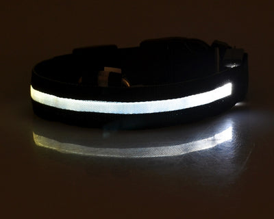 Nylon LED pet collar