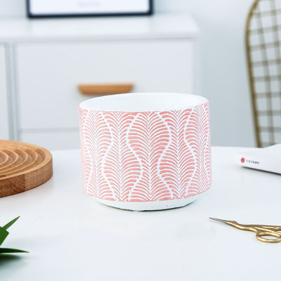 European style simple succulent plant pot