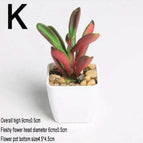 K