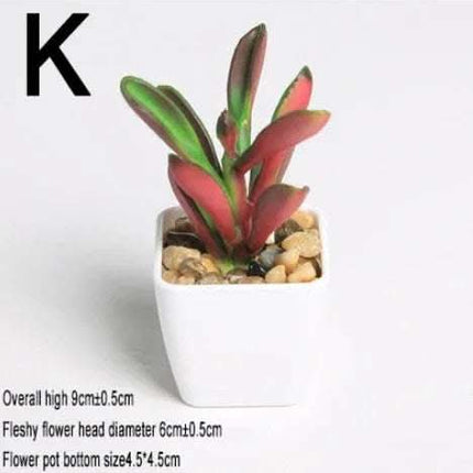Simulated succulents mini potted plants Fendax 0