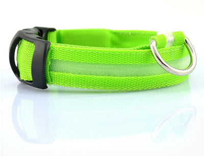 Nylon LED pet collar