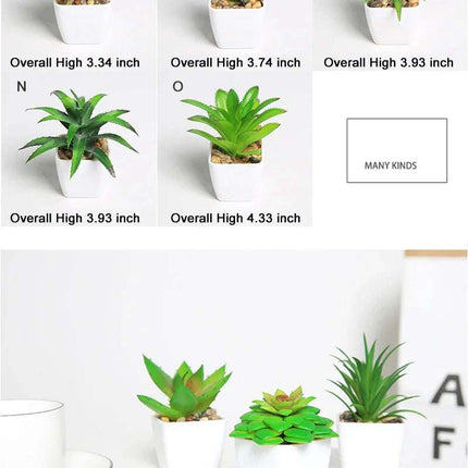 Simulated succulents mini potted plants Fendax 0