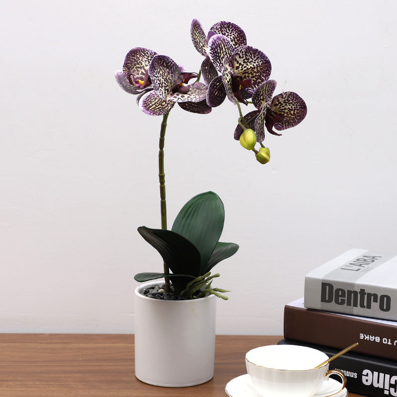 Nordic Simulation Plant Phalaenopsis Potted Home Living Room Decoration Fake Flower Flower Potted Simulation Flower Factory Wholesale