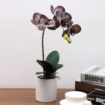 Nordic Simulation Plant Phalaenopsis Potted Home Living Room Decoration Fake Flower Flower Potted Simulation Flower Factory Wholesale