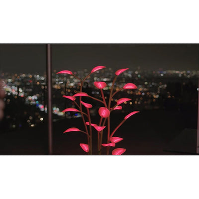 New Magic Led Indoor Plant Lamp