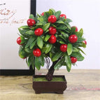 Rich fruit