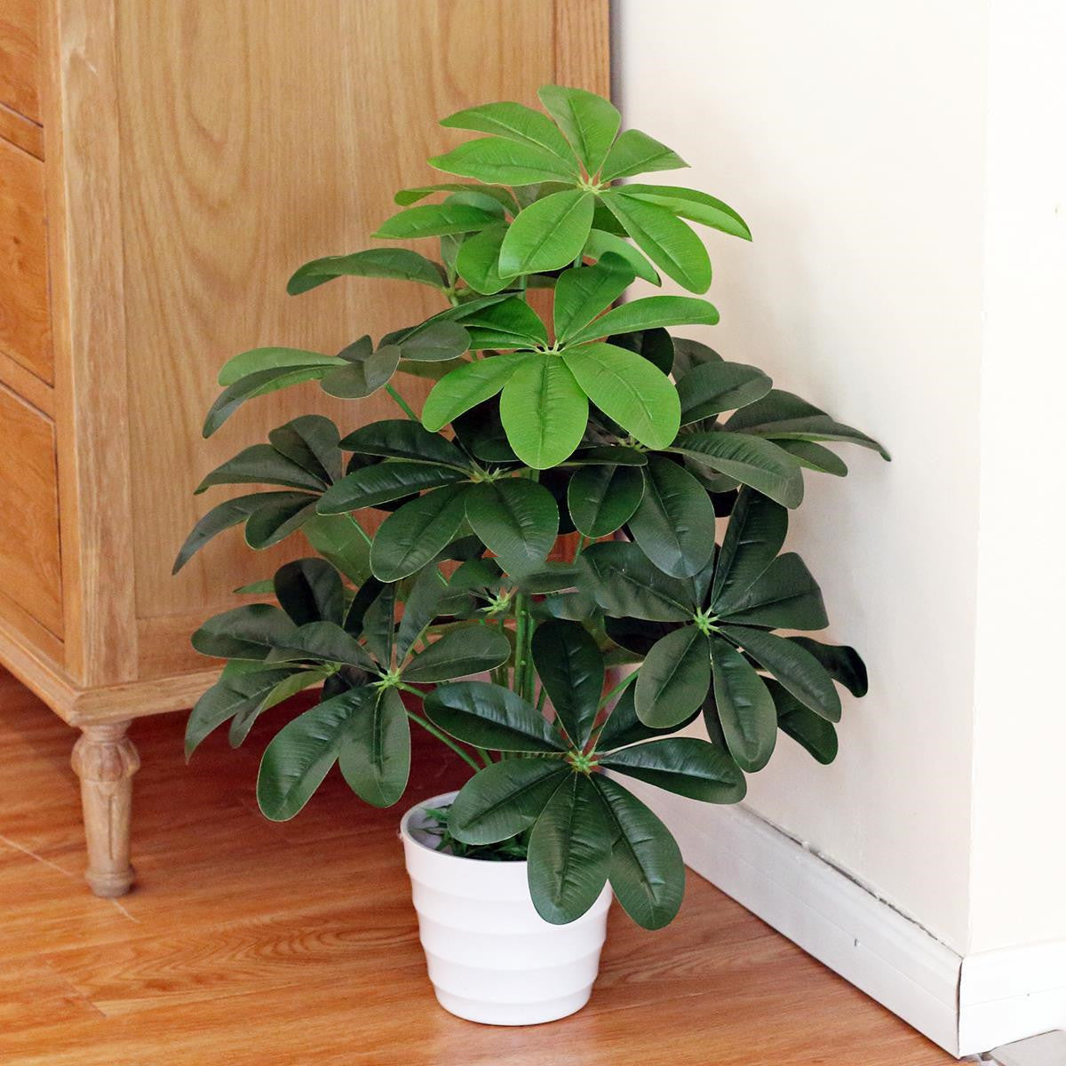 Money leaf plant decoration fake flower decoration