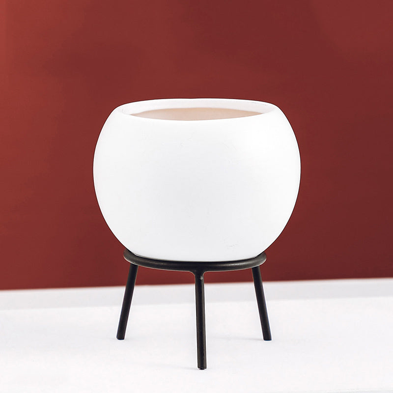 Plant potted ornaments