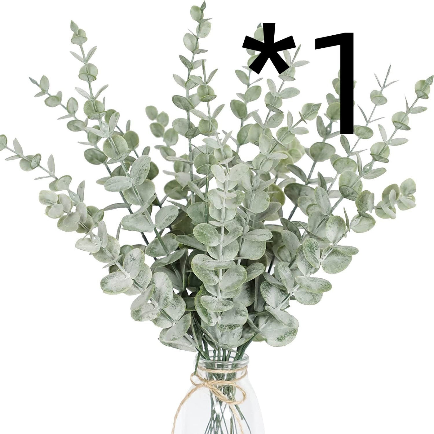 Golden Eucalyptus Decorative plant