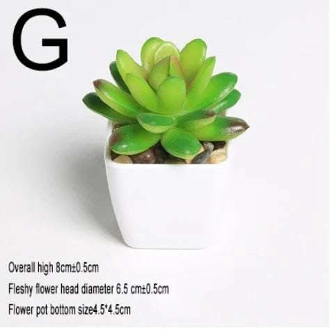 Simulated succulents mini potted plants Fendax 0