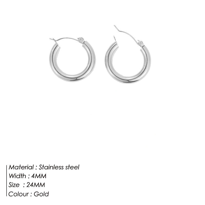 Women's Stainless Steel earrings