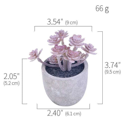 Simulation Of Succulent Potted Plants Fendax 0