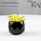 Sapphire Lotus Pot Included