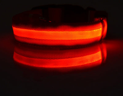 Nylon LED pet collar