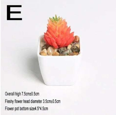 Simulated succulents mini potted plants Fendax 0