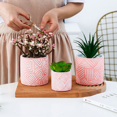 European style simple succulent plant pot