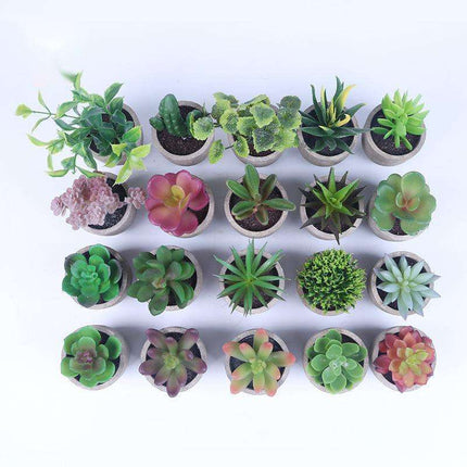Simulation Of Succulent Potted Plants Fendax 0