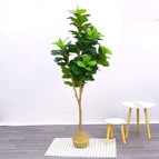 Qin Ye Rong 180CM / Black base