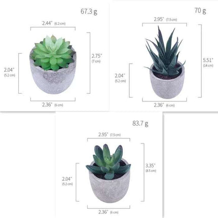 Simulation Of Succulent Potted Plants Fendax 0