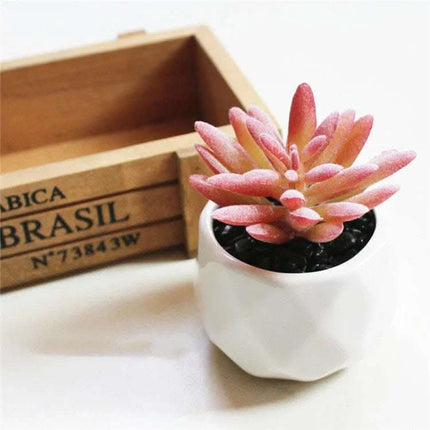 Artificial Succulent Bonsai Creative Ornaments for Home Table Garden Decoration Artificial Plants with Pot Fendax 0