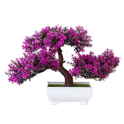 Bonsai potted plants Fendax 0