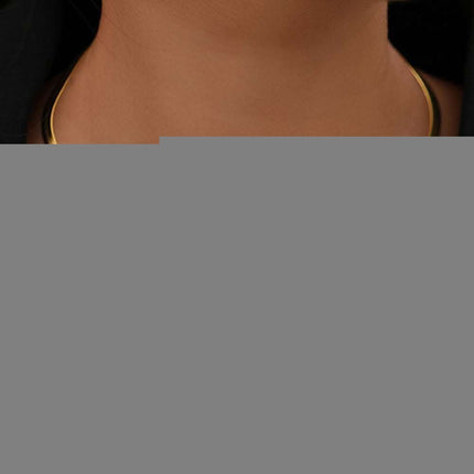Stainless Steel Necklaces Gothic Blade Snake Chains Stars Choker Statement Light Luxury Temperament Necklace For Women Jewelry