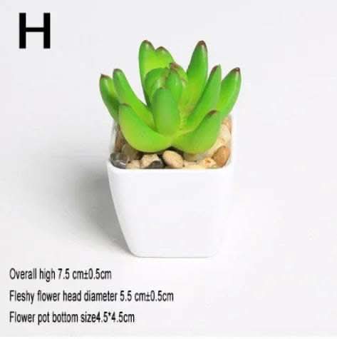 Simulated succulents mini potted plants Fendax 0