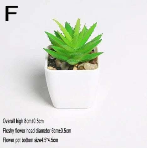 Simulated succulents mini potted plants Fendax 0