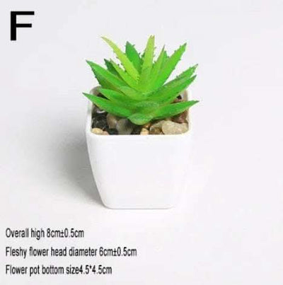 Simulated succulents mini potted plants Fendax 0