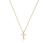 Gold / T