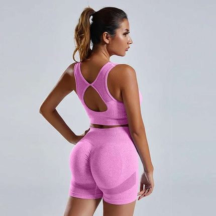 2pcs Yoga Set Women's Vest And Shorts Tracksuit Seamless Workout Sportswear Gym Clothing High Waist Leggings Fitness Sports Suits Fendax 4