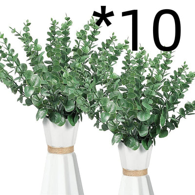 Golden Eucalyptus Decorative plant