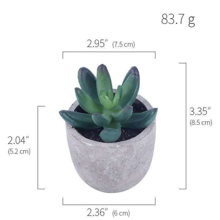 Simulation Of Succulent Potted Plants Fendax 0