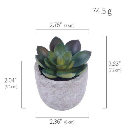 Simulation Of Succulent Potted Plants Fendax 0