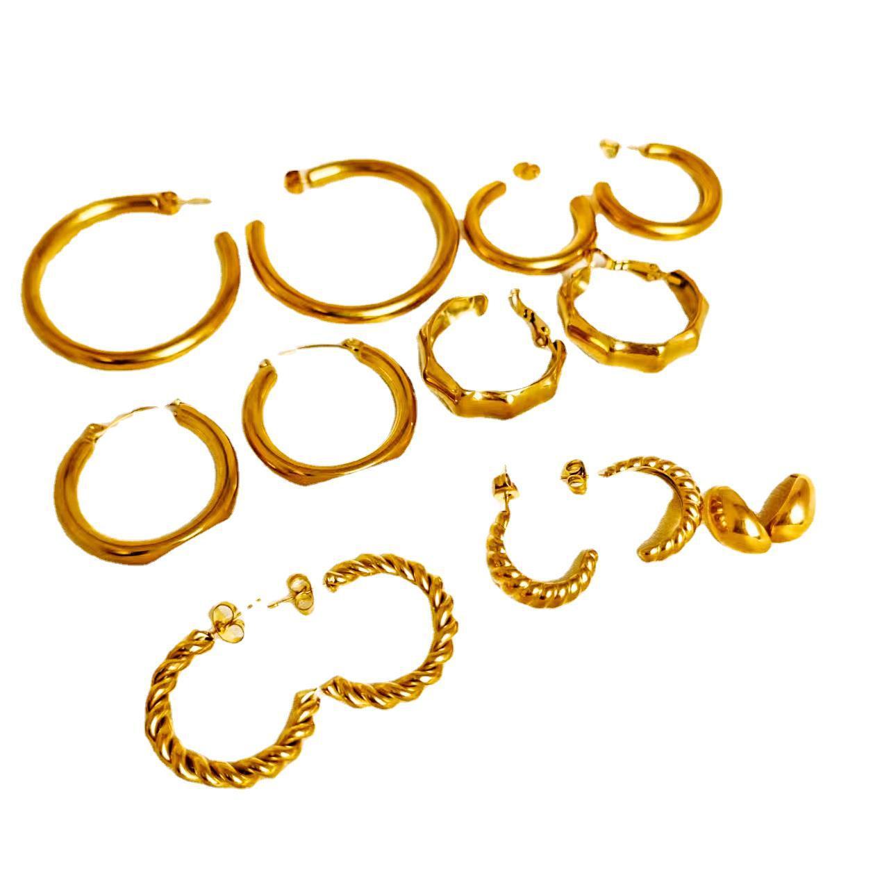 Women's Stainless Steel earrings