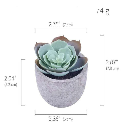 Simulation Of Succulent Potted Plants Fendax 0