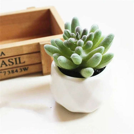 Artificial Succulent Bonsai Creative Ornaments for Home Table Garden Decoration Artificial Plants with Pot Fendax 0