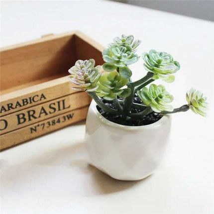 Artificial Succulent Bonsai Creative Ornaments for Home Table Garden Decoration Artificial Plants with Pot Fendax 0