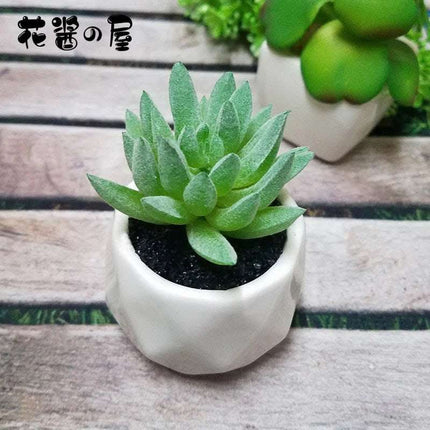 Artificial Succulent Bonsai Creative Ornaments for Home Table Garden Decoration Artificial Plants with Pot Fendax 0