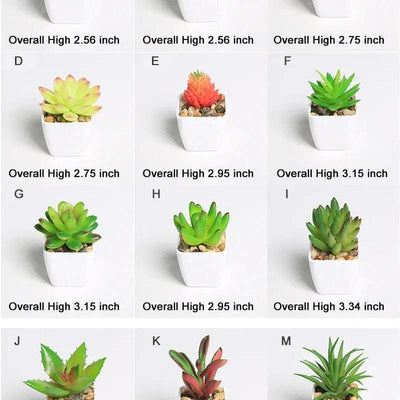 Simulated succulents mini potted plants Fendax 0