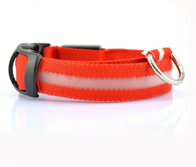 Nylon LED pet collar