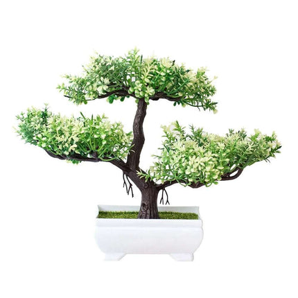 Bonsai potted plants Fendax 0
